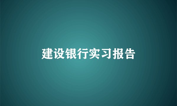 建设银行实习报告