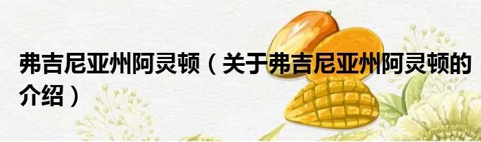 弗吉尼亚州阿灵顿（关于弗吉尼亚州阿灵顿的介绍）