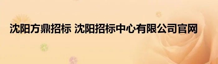 沈阳方鼎招标 沈阳招标中心有限公司官网