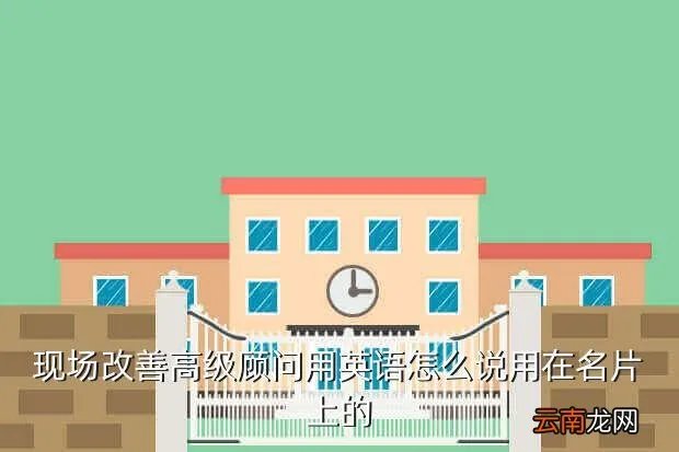 seniorconsultant,高级顾问和资深顾问 英语怎么说