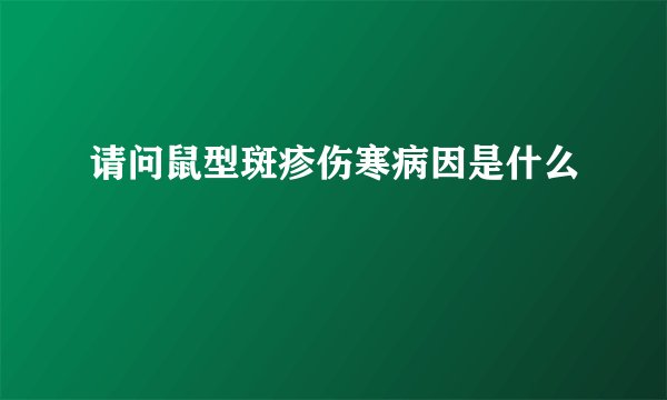 请问鼠型斑疹伤寒病因是什么