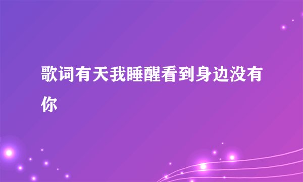 歌词有天我睡醒看到身边没有你