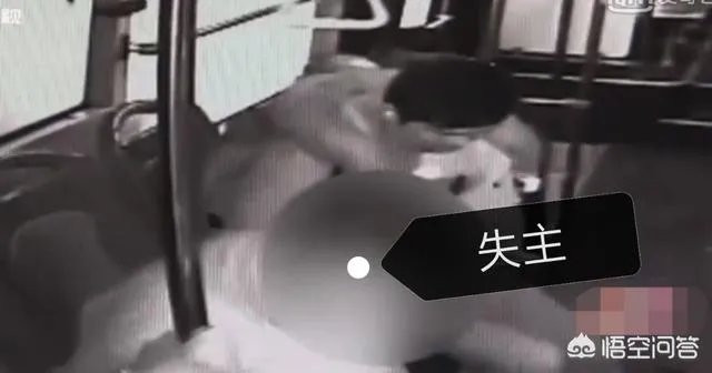 上海一公交车司机捡到10万美金,最终找到失主是一名有精神病史的老人,这事你怎么看?