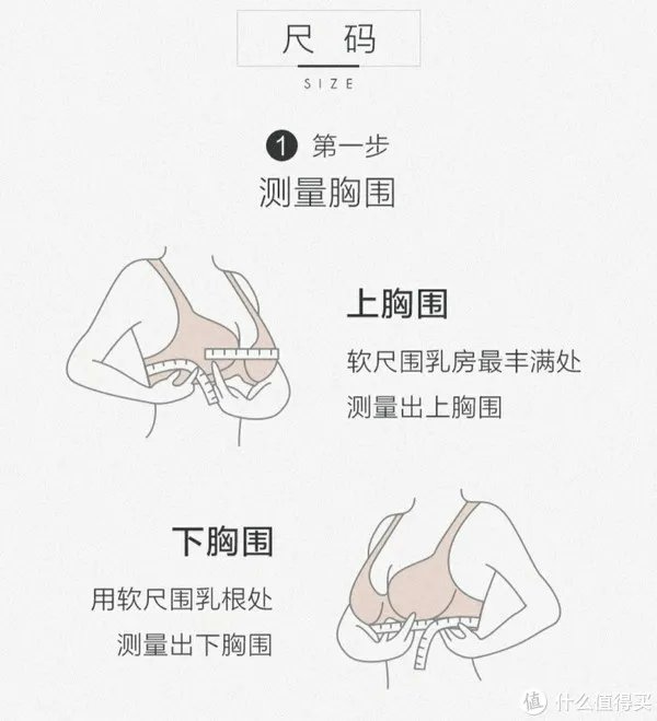 文胸