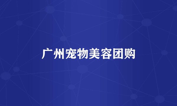广州宠物美容团购