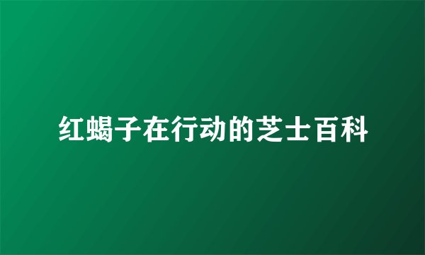 红蝎子在行动的芝士百科