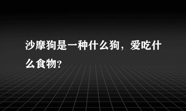 沙摩狗是一种什么狗,爱吃什么食物?