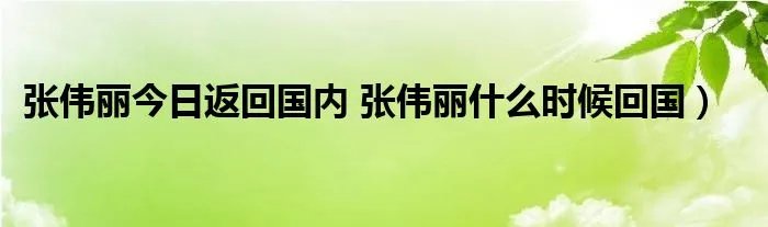 张伟丽今日返回国内 张伟丽什么时候回国）