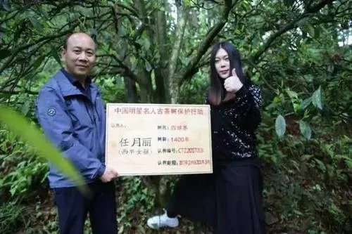 当年西单女孩上春晚火了一段时间后为什么会销声匿迹?