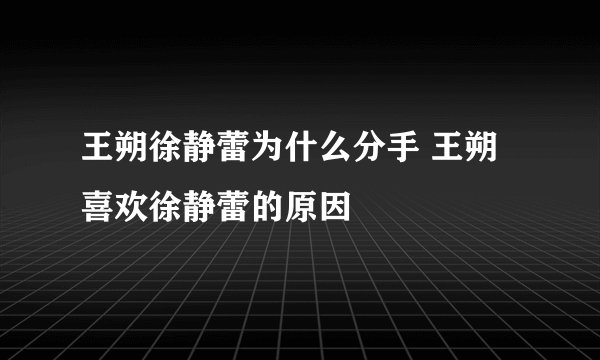王朔徐静蕾为什么分手 王朔喜欢徐静蕾的原因