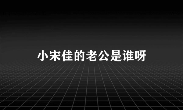 小宋佳的老公是谁呀