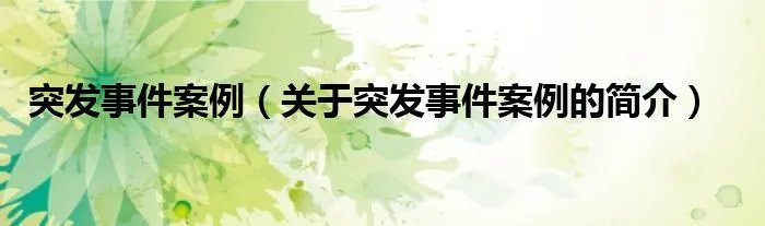 突发事件案例（关于突发事件案例的简介）