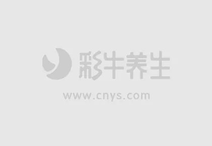 冬季七款养生粥做法 让你永葆青春容颜