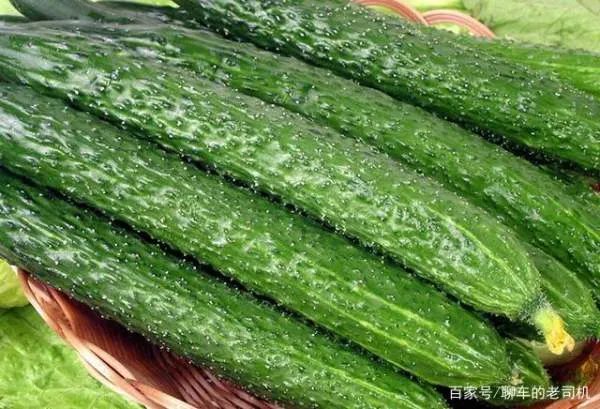 黄瓜红粉病发病的防治措施有哪些?哪种比较好呢?