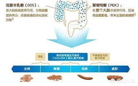 美素佳儿金装奶粉和美赞臣哪个好?都是进口的知名品牌,不知道怎么选?
