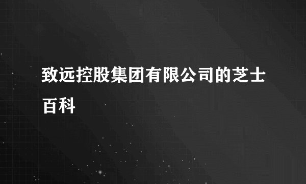 致远控股集团有限公司的芝士百科