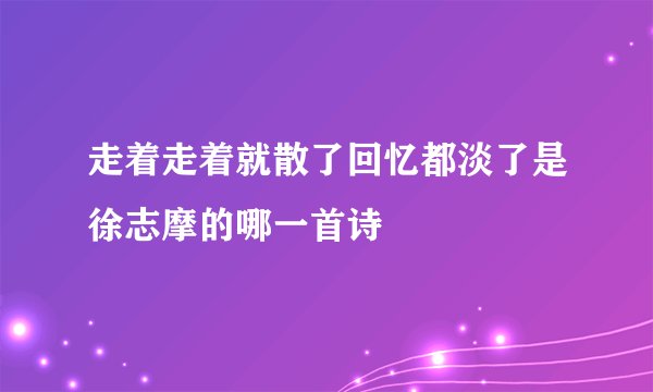 走着走着就散了回忆都淡了是徐志摩的哪一首诗