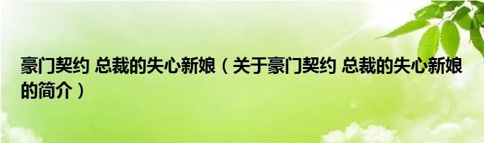 豪门契约 总裁的失心新娘（关于豪门契约 总裁的失心新娘的简介）