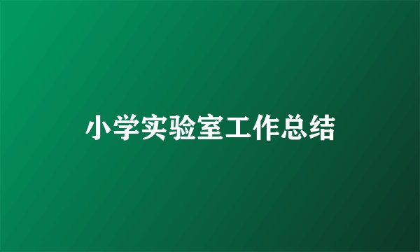 小学实验室工作总结