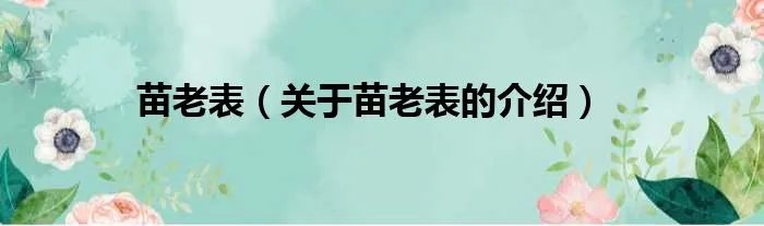 苗老表（关于苗老表的介绍）