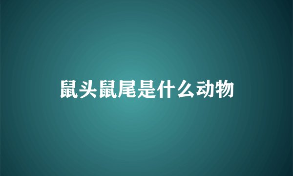 鼠头鼠尾是什么动物