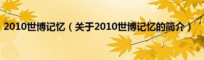 2010世博记忆(关于2010世博记忆的简介)