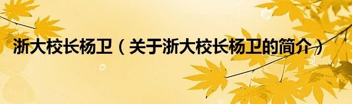 浙大校长杨卫（关于浙大校长杨卫的简介）