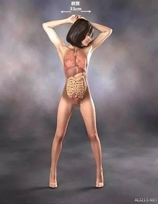 真正的大宝剑!女子持40米长刀砍人 真相令人细思恐极