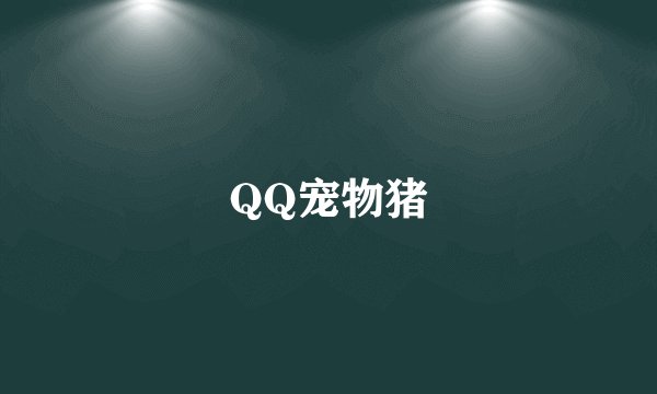 QQ宠物猪