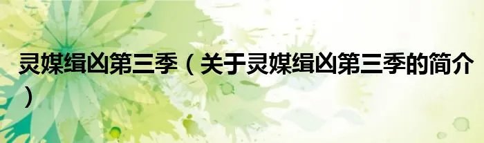灵媒缉凶第三季（关于灵媒缉凶第三季的简介）
