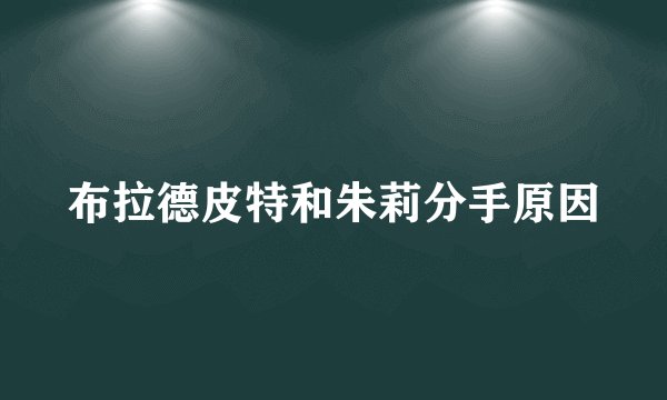 布拉德皮特和朱莉分手原因