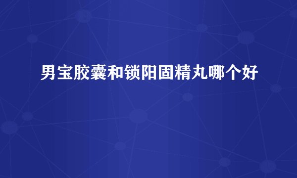 男宝胶囊和锁阳固精丸哪个好