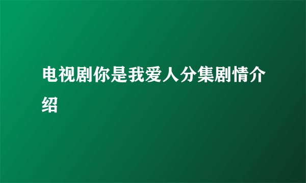 电视剧你是我爱人分集剧情介绍