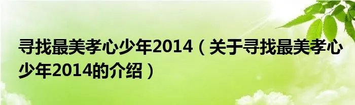 寻找最美孝心少年2014（关于寻找最美孝心少年2014的介绍）