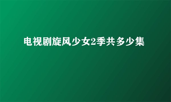 电视剧旋风少女2季共多少集