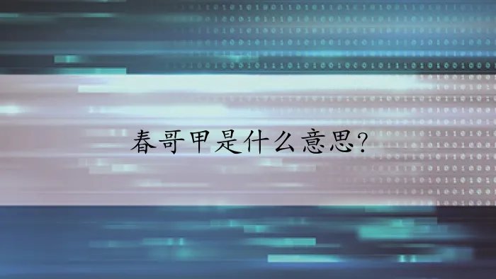 春哥甲是什么意思?