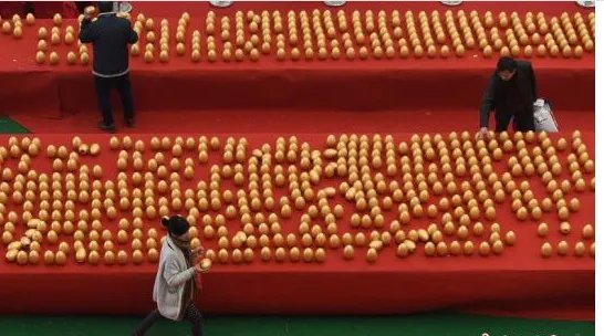 山东“金蛋村”日销金蛋30万个是怎么做到的？