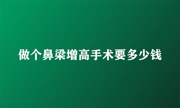 做个鼻梁增高手术要多少钱