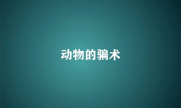 动物的骗术