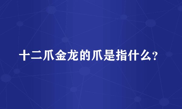 十二爪金龙的爪是指什么?