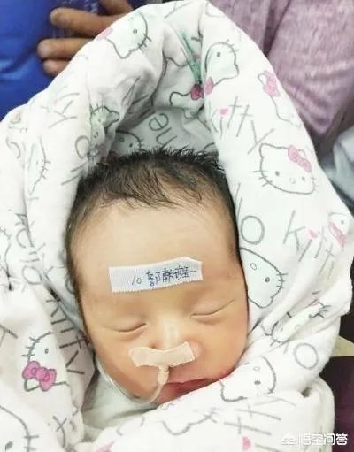 关于51岁烈士母亲生双胞胎被骂,你怎么看?