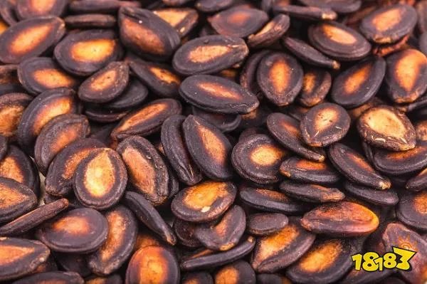 一般我们吃的零食西瓜子是夏天常吃的西瓜里的籽吗?