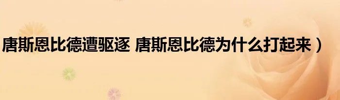 唐斯恩比德遭驱逐 唐斯恩比德为什么打起来）