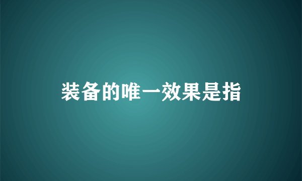 装备的唯一效果是指