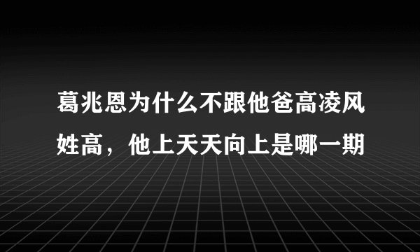 葛兆恩为什么不跟他爸高凌风姓高，他上天天向上是哪一期