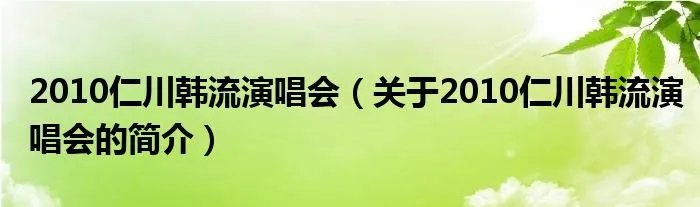 2010仁川韩流演唱会（关于2010仁川韩流演唱会的简介）