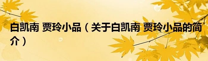 白凯南 贾玲小品（关于白凯南 贾玲小品的简介）
