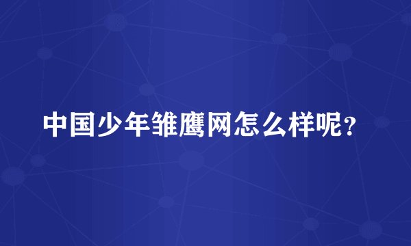 中国少年雏鹰网怎么样呢？