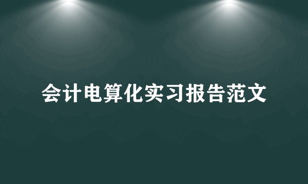 会计电算化实习报告范文