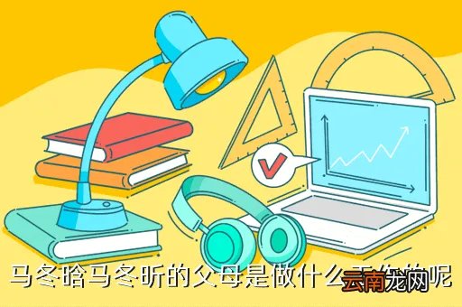 马冬晗 马冬昕,马冬晗马冬昕是哪里人